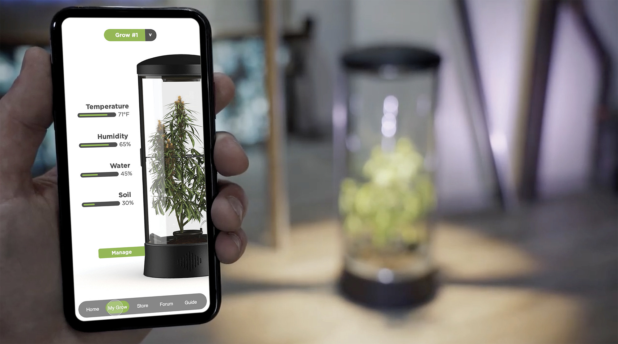Connected product and companion application